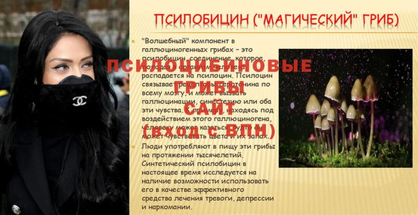 прущие крисы Нея